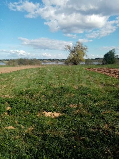 Участок 20 сот. (ИЖС)