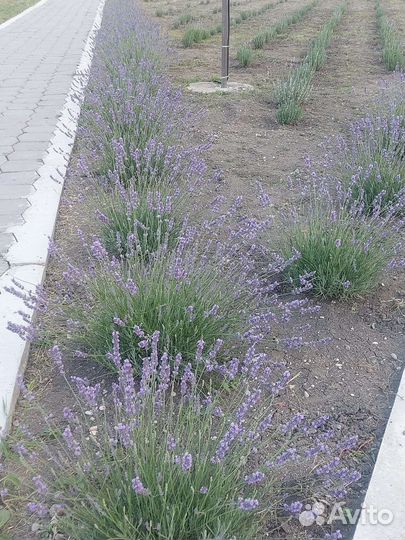 Беседка с мангалом База отдыха