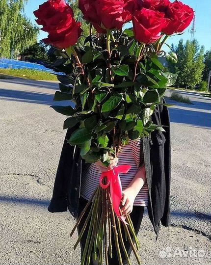 Цветы розы букеты 25 31 35 51 101 251 Доставка