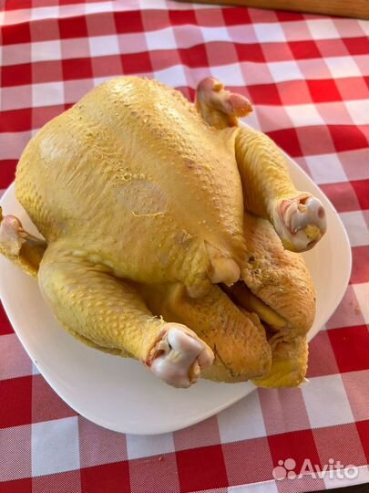 Домашний бройлер