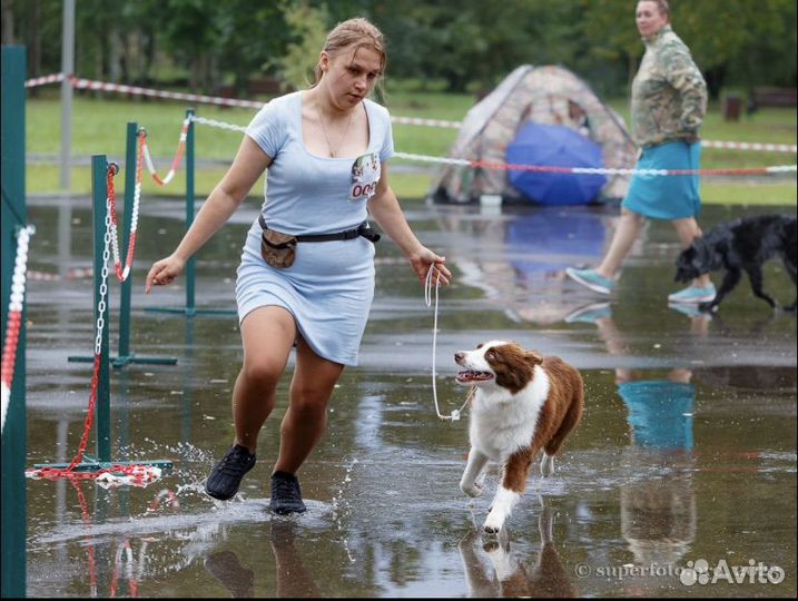 Услуги хендлера