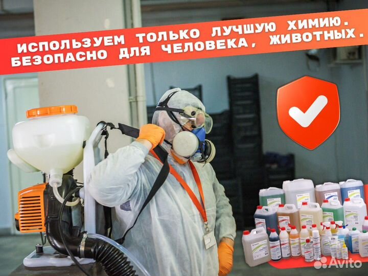 Уничтожение тараканов клопов блох клещей