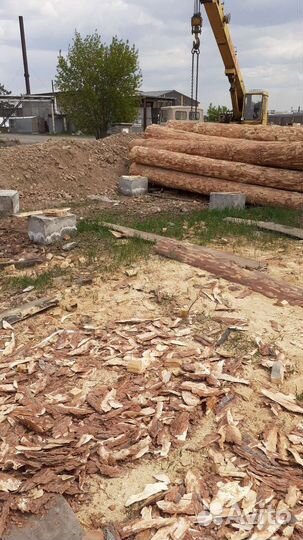 Кора Алтайского кедра (мульча)