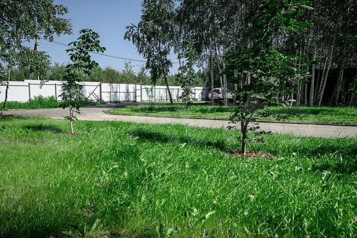 Дом 236 м² на участке 5 га