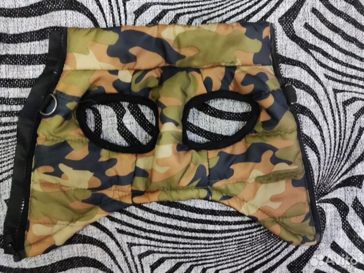 Одежда для собак мелких пород