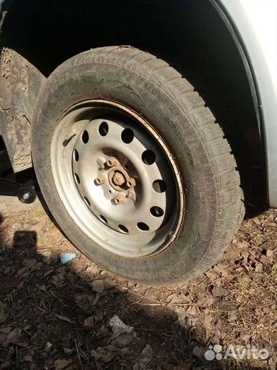 Tigar Sigura Stud 175/65 R14