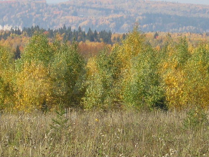 Участок 2 га (СНТ, ДНП)