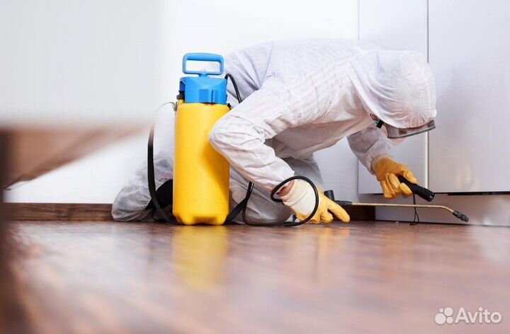 Уничтожение насекомых