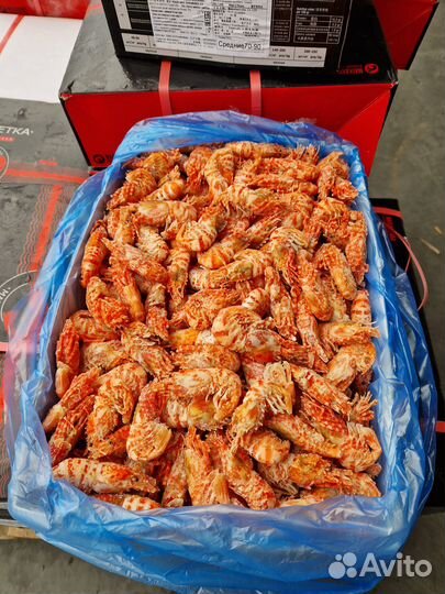 Креветка гренландская н/р в/м 70/90 Драконы