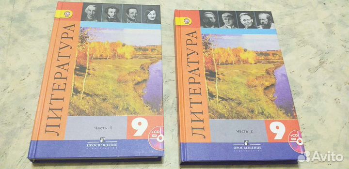 Литература. 9 класс.Коровина. Меркин. бу