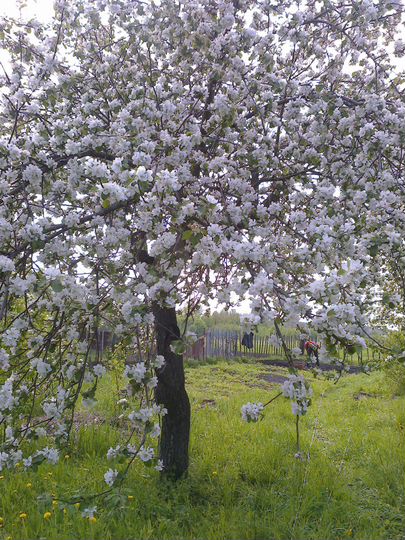 Дом 45 м² на участке 40 сот.