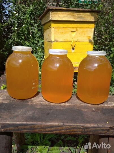 Мёд свежий 2023года