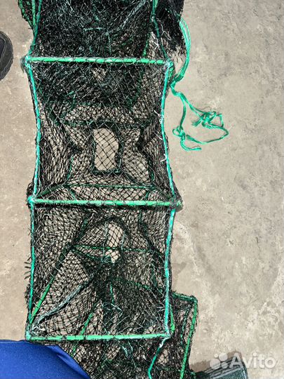 Раки Раколовки которые ловят