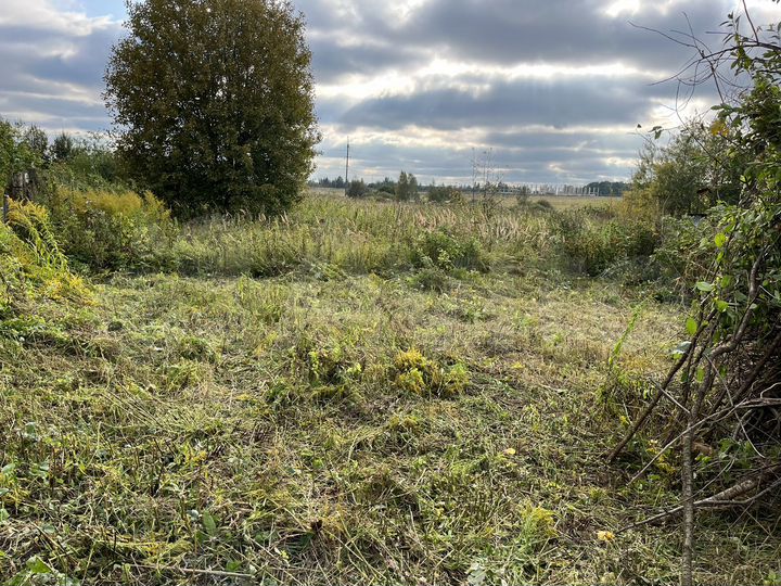 Участок 4 сот. (СНТ, ДНП)