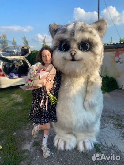 Поздравление от кота,белый медведь,чебурашка