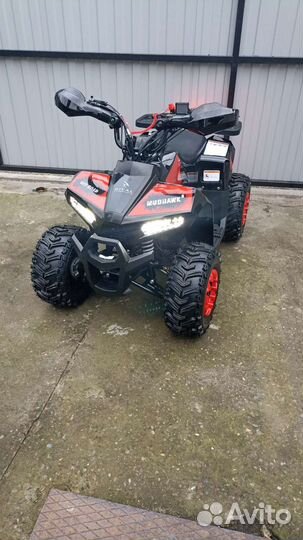 Квадрик Mudhahawk 110cc