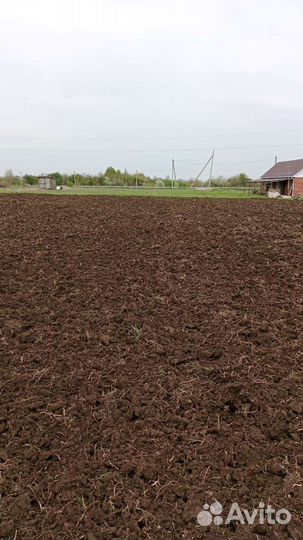 Пашем, дискуем