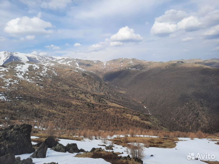 Свой человек в Туве