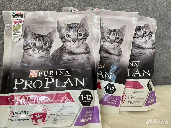 Корм для котят проплан