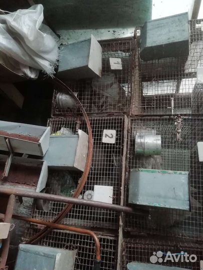 Клетки для кроликов, птиц и т. д