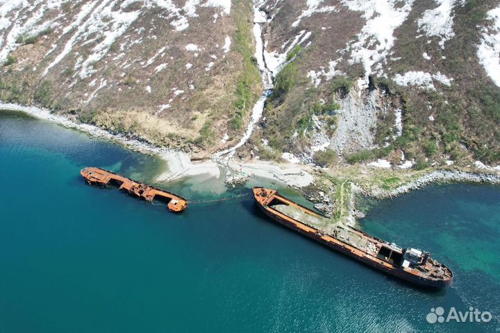 Камчатка морские прогулки/косатки/сивучи