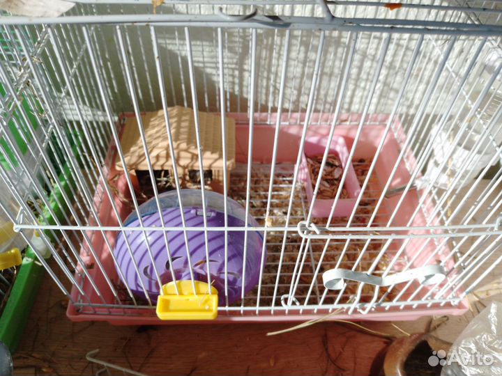 Клетка для грызунов бу