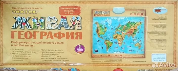 Игра живая география