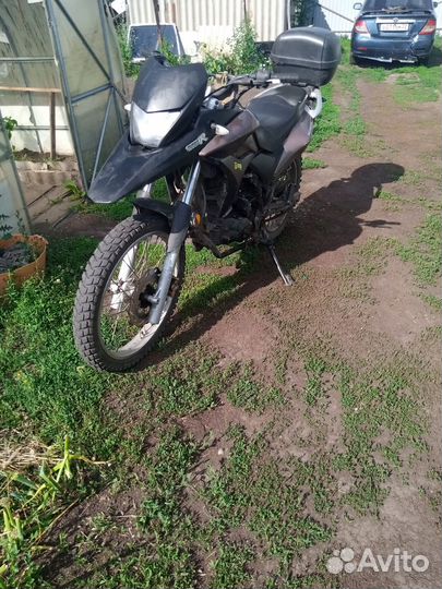 Райсер ренжер 200