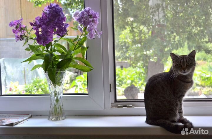 Пластиковые окна на дачу