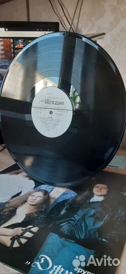 Коллекция виниловых пластинок