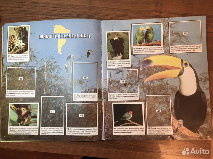 Альбом с наклейками Panini 1996 год