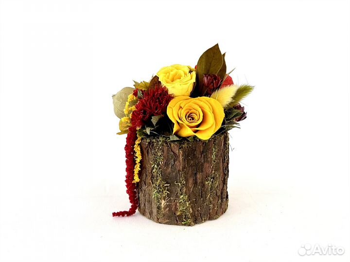 Композиция в древесной коре Стабилизированные цвет