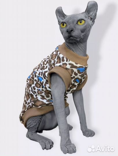 Одежда для кошек сфинкс