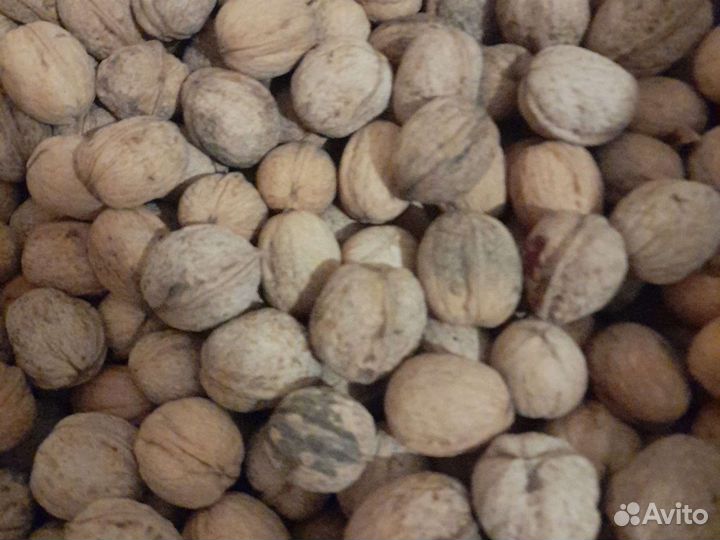 Продам грецкий орех в скорлупе
