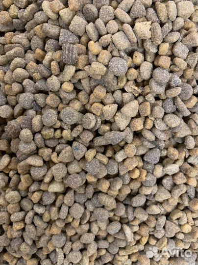 Сухой корм для кошек