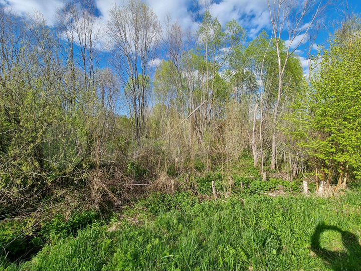 Участок 7,6 сот. (СНТ, ДНП)