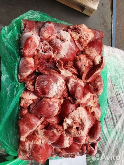 Сердце свиное