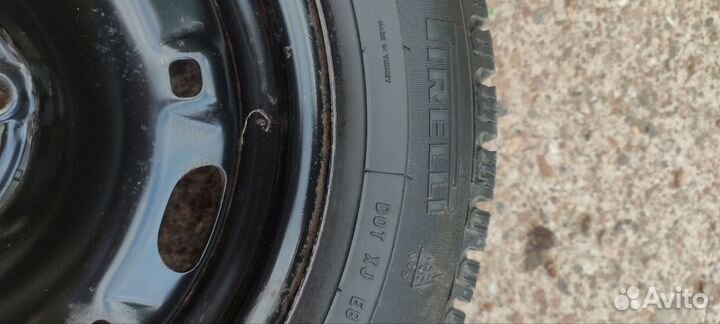 Pirelli Winter Carving Edge 175/65 R14