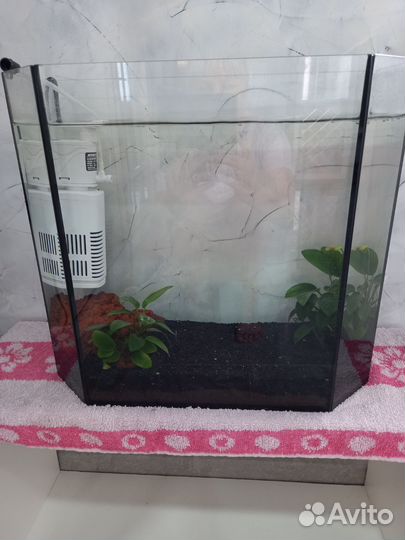 Аквариум