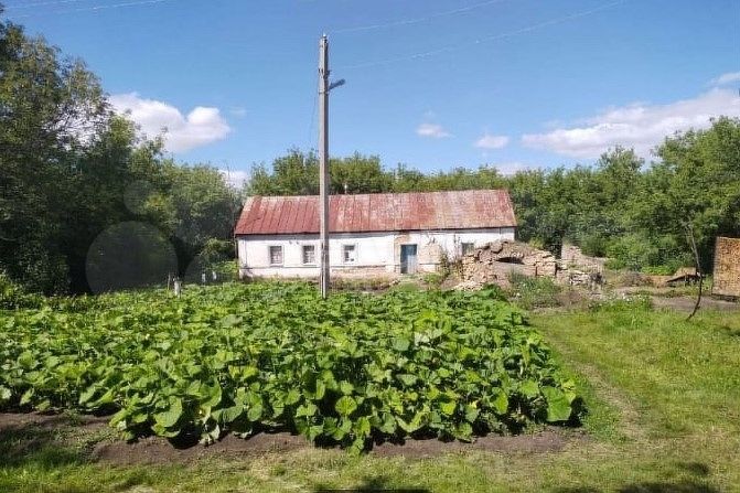 Дом 26,1 м² на участке 76 сот.