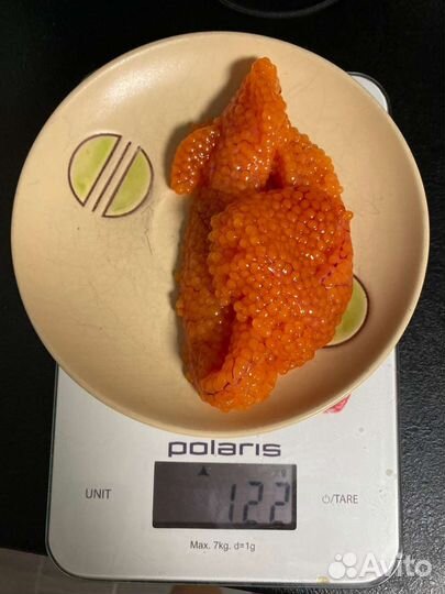 Форель, речная рыба в ассортименте