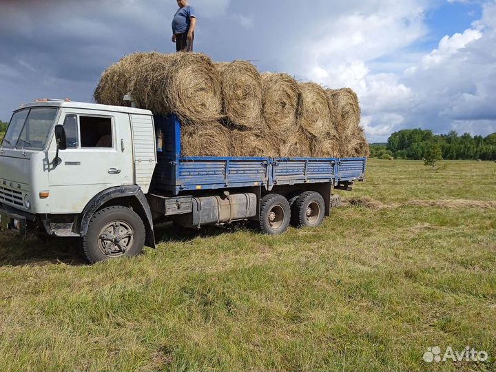 Продам сено в рулонах