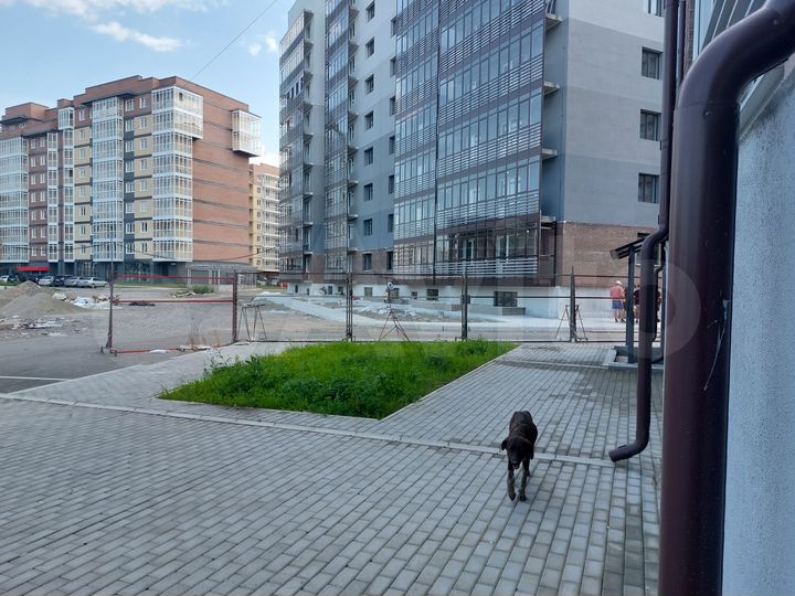 Свободного назначения, 70 м²