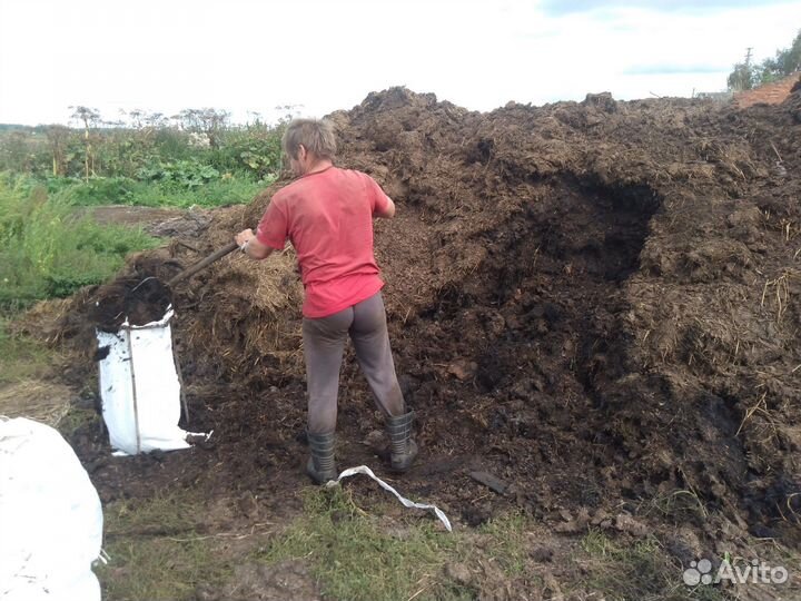 Разнорабочие оплата ежедневная