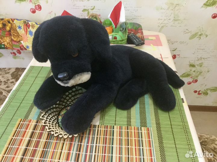 Собака черная