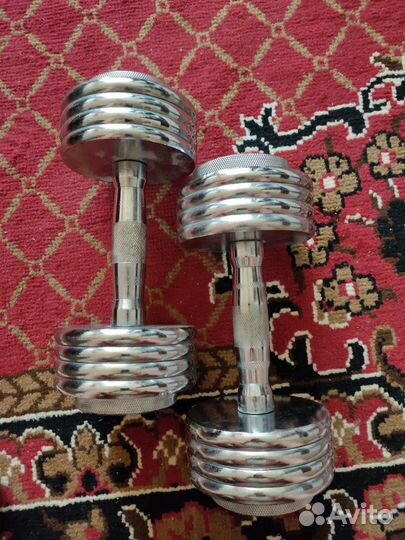 Гантели torneo разборные 10 кг