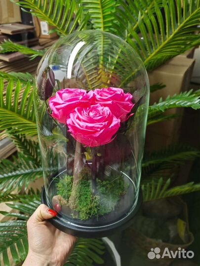 Три розы, пиона в стеклянной колбе. Подарки, от