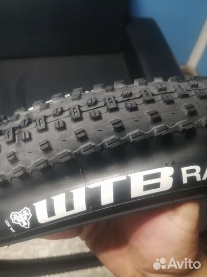 Покрышки 29 wtb ranger