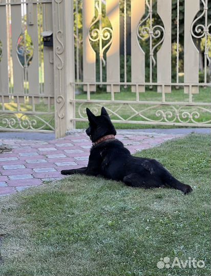 Кабель для вязки