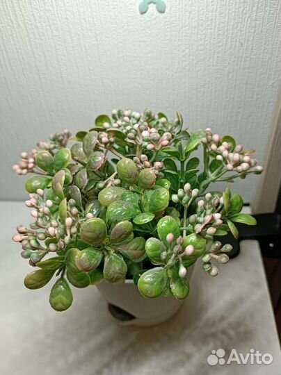 Искусственный цветок в пластиковом горшке